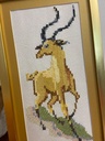 IMG-20250905-WA0069