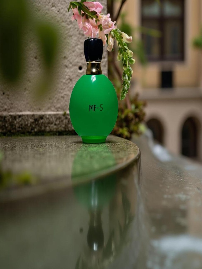 WhatsApp Image 2025-10-10 at 18