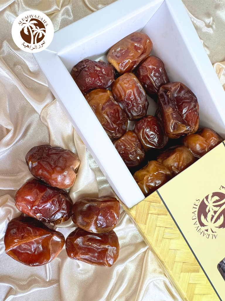 Untitled design (19)