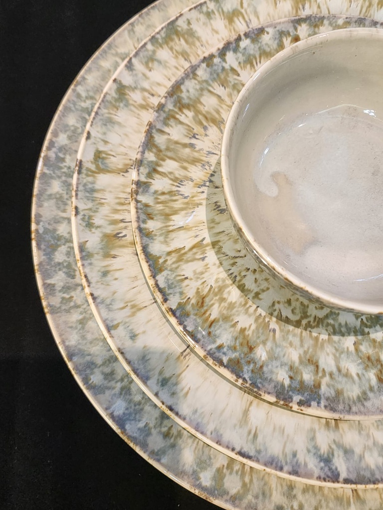 elegant Gray Dinner set