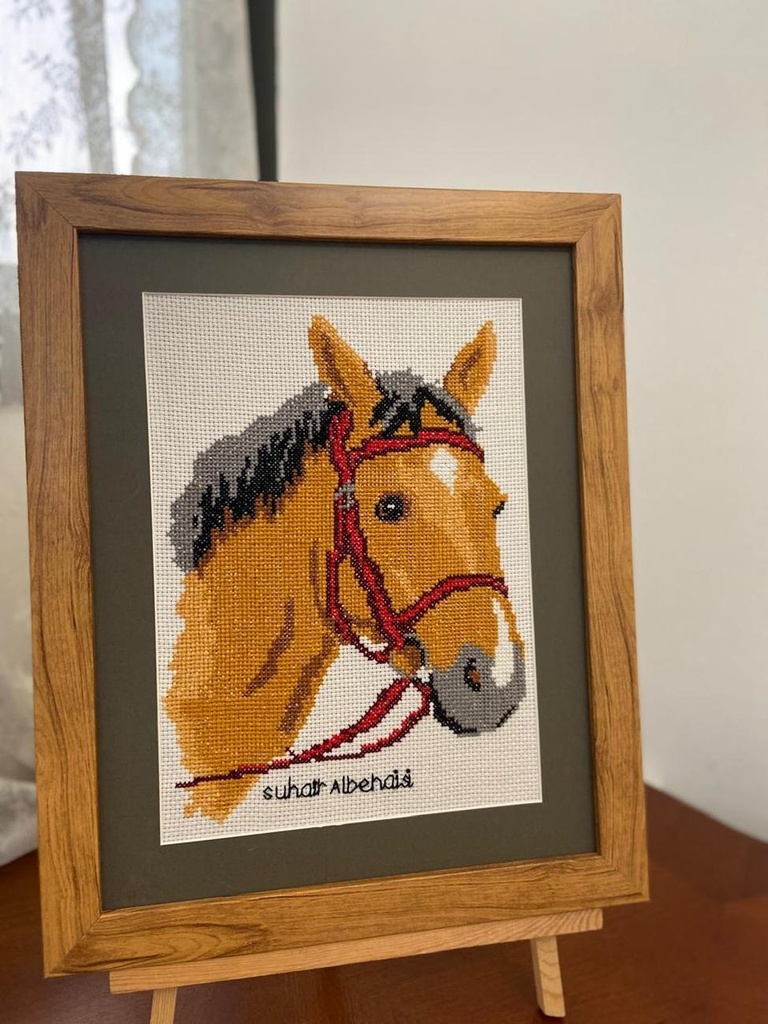 الجواد النبيل لوحة تطريز يدوية لبورتريه حصان