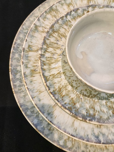 elegant Gray Dinner set