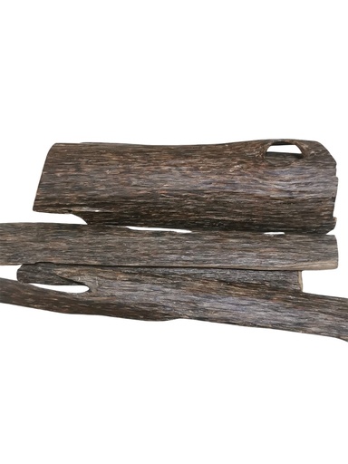 عود كالاكاشي درجة الاولى